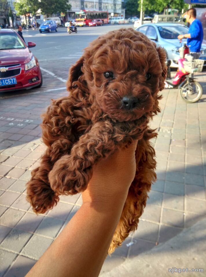 QQ图片20150524103234.jpg