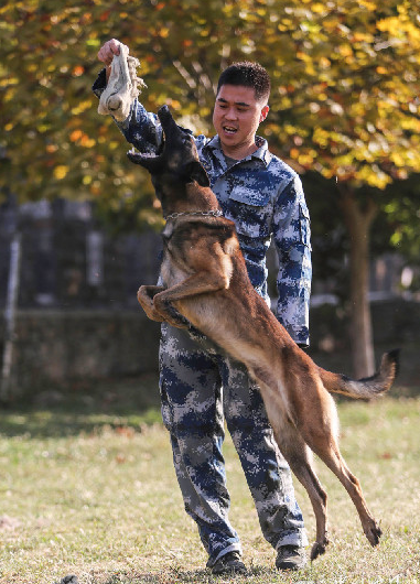 QQ图片20151014101201.png
