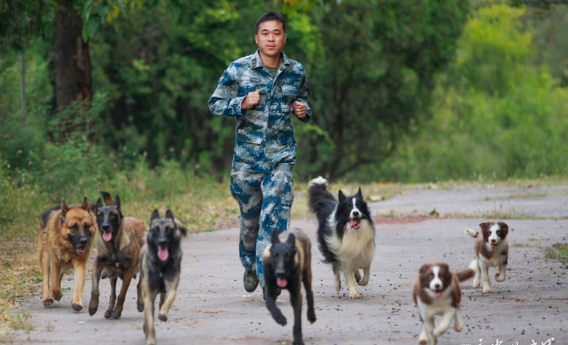 QQ图片20151014101221.png