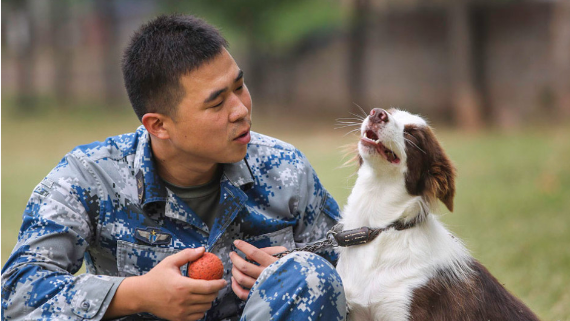 QQ图片20151014101456.png