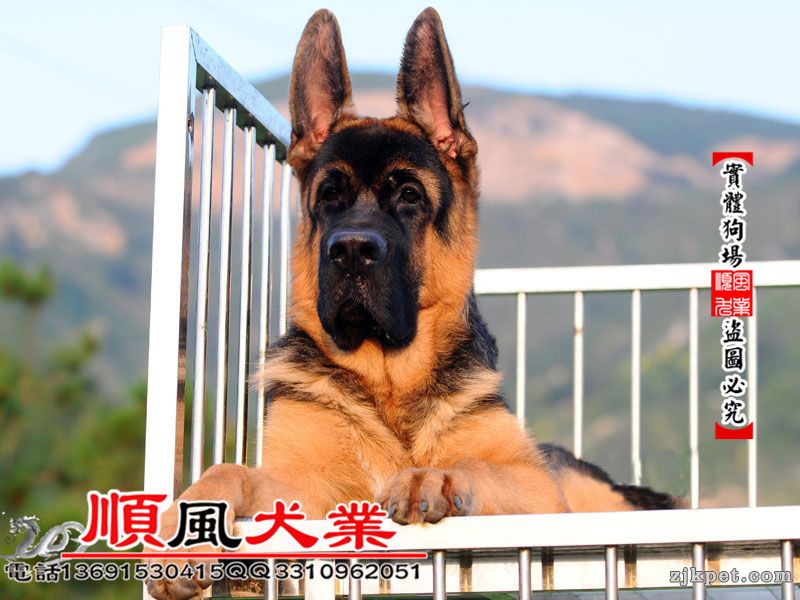 20150902113042365_副本.jpg