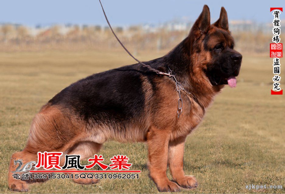 kj45 - 副本.jpg