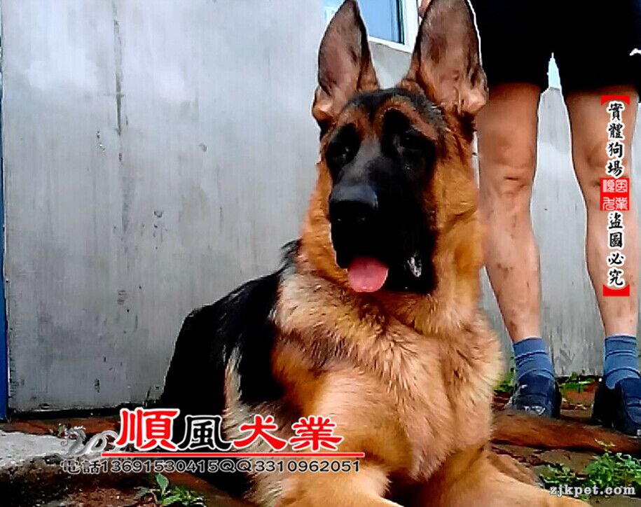 QQ截图20151028212735.jpg