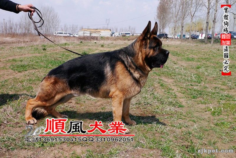 480 - 副本.jpg