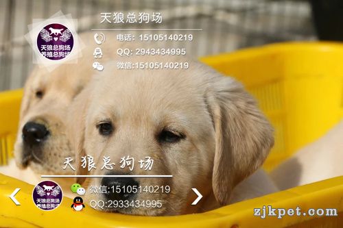 拉拉 (2).jpg