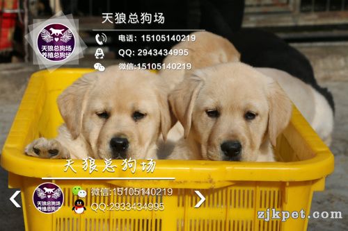 拉拉 (6).jpg