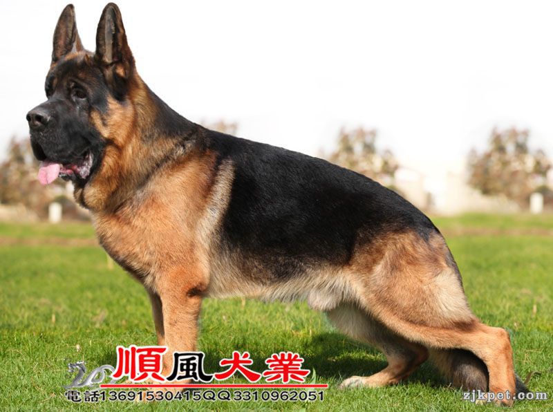 20150430032948933.jpg