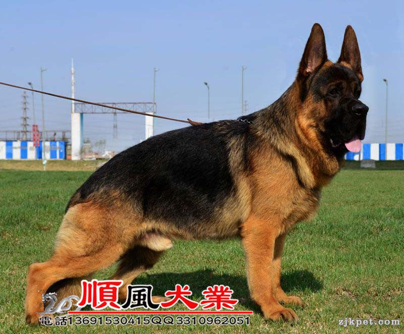 20150430021451904.jpg