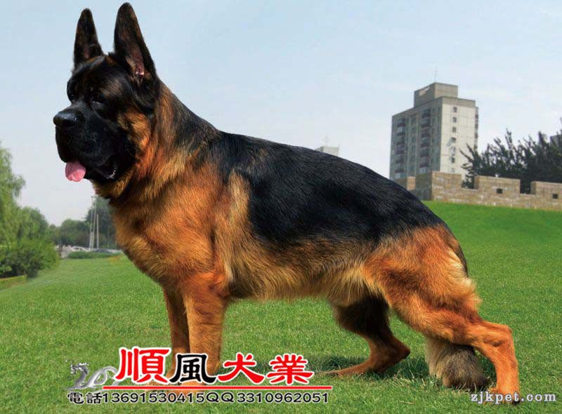 20150430035951102.jpg