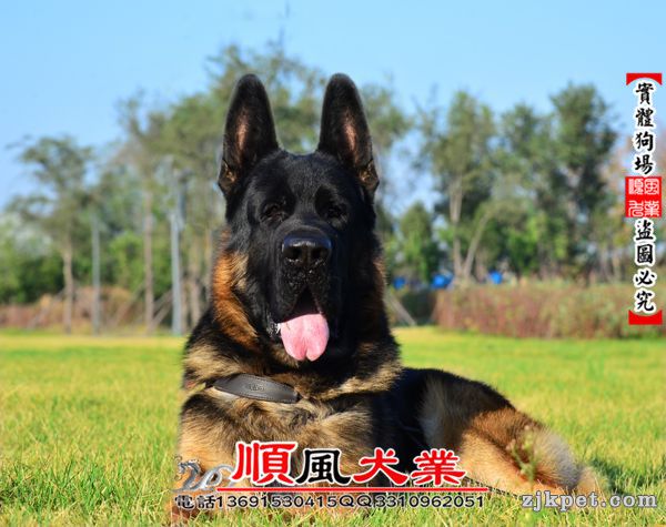 20151009015012273 - 副本.jpg