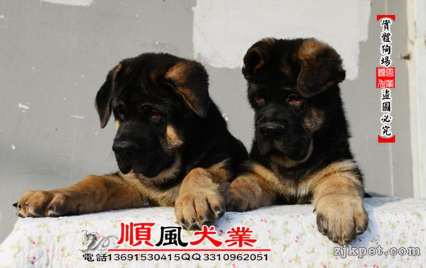 20160119041256289 - 副本.jpg