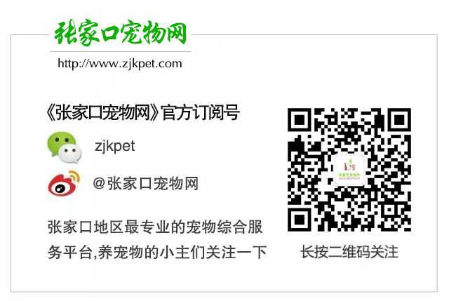公众号文章二维码.jpg