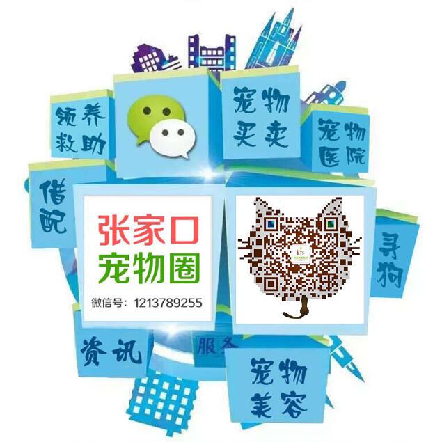 微信推广.jpg