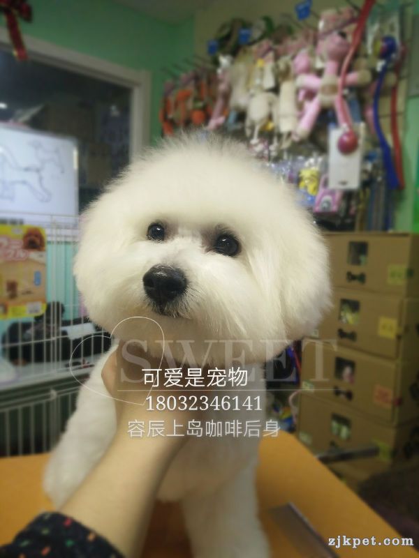 17090
