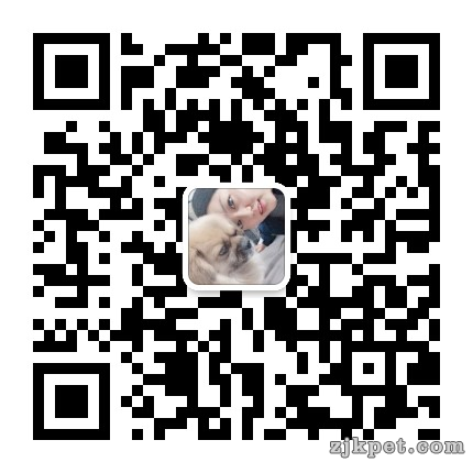 mmqrcode1558578270387.png