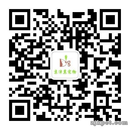 wechat_upload15724482115db9a7d3c658f