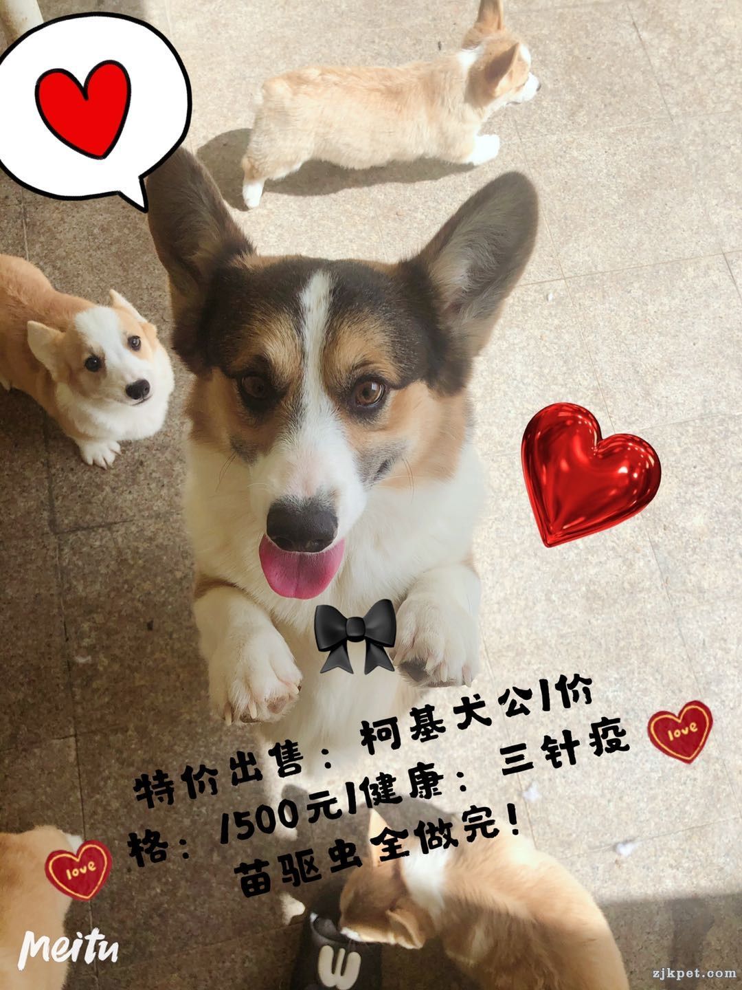 wechat_upload15915120855edc8c159d258