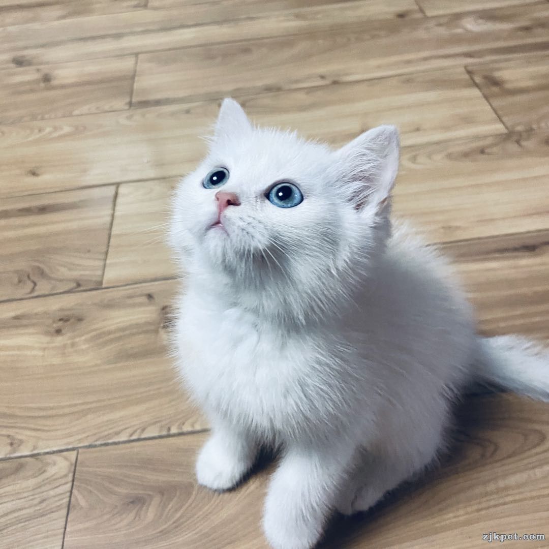 wechat_upload15916894465edf40e6010e2