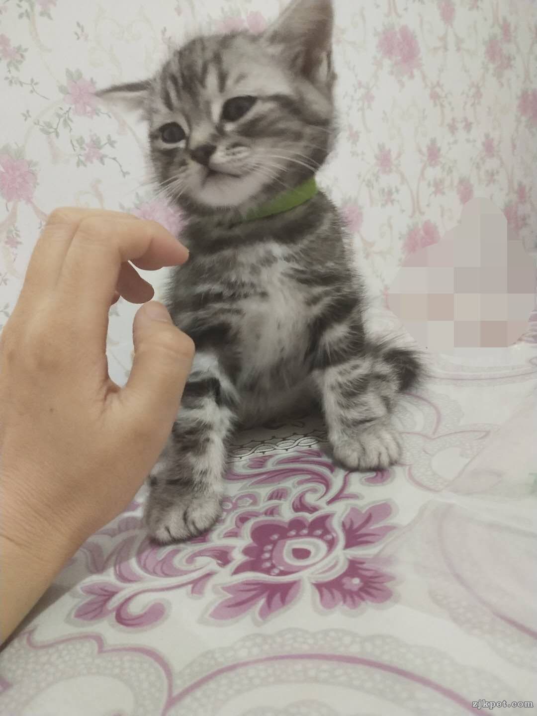 wechat_upload15917088355edf8ca3ef6b3