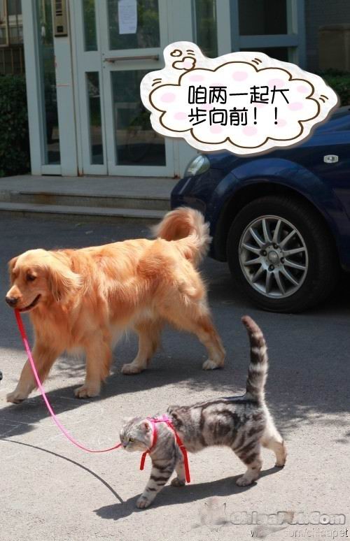 咱们一起走