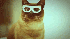 02.gif