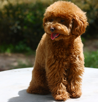 QQ截图20120317223918.png