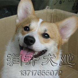 01.jpg