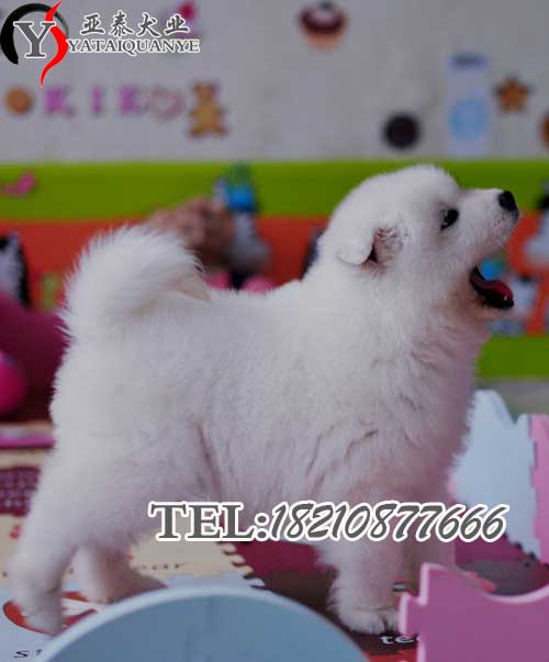 2012062917132575577.jpg