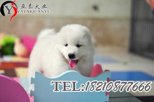 2012062917163248489.jpg
