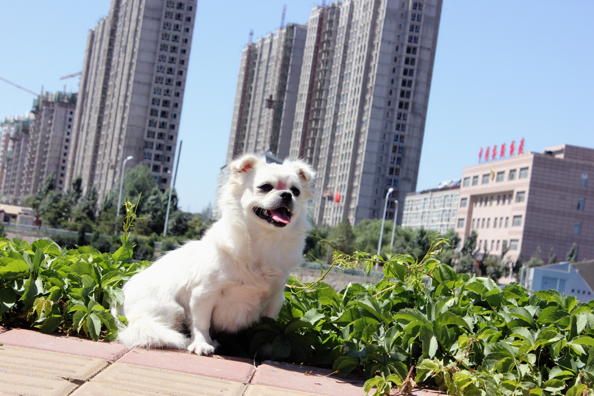 IMG_0740 拷贝.jpg