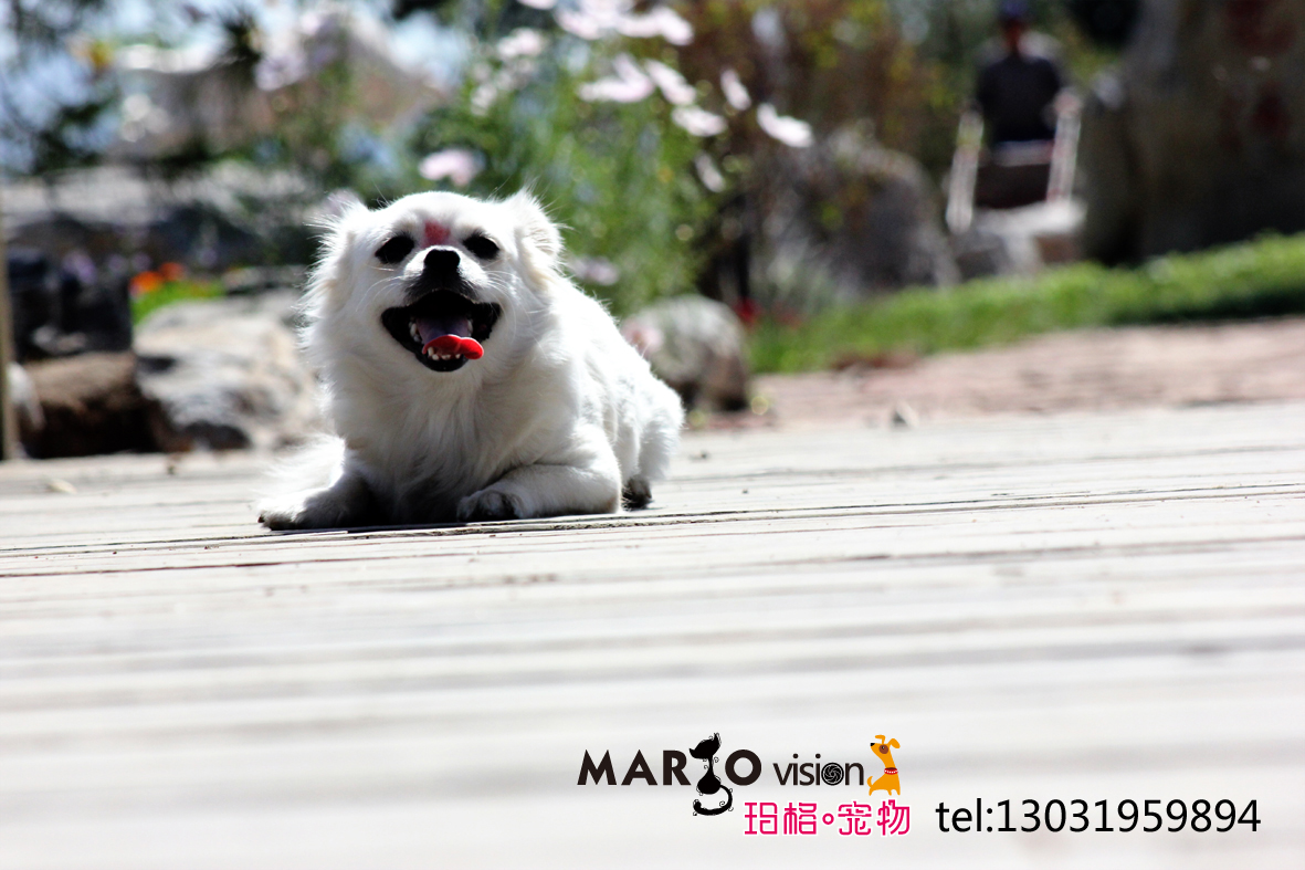 IMG_075122 拷贝.jpg