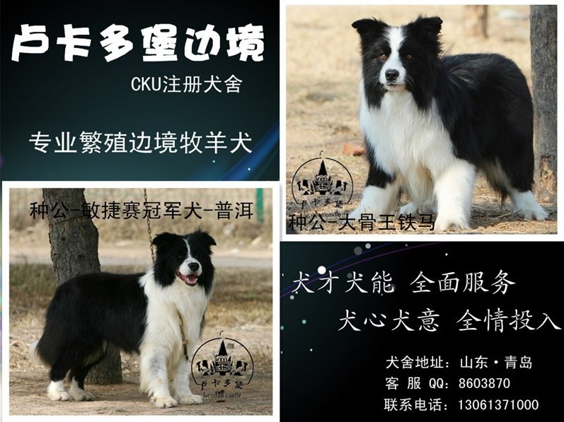 普洱.jpg