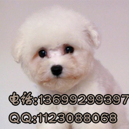 14807121_snap_m.jpg