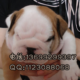 21674147.jpg