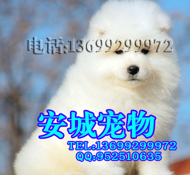 583131.jpg