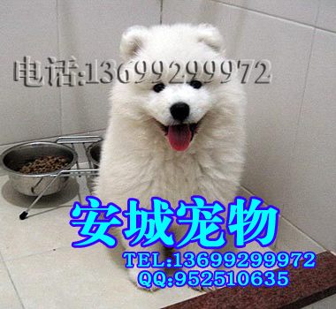 2011032223033751.jpg