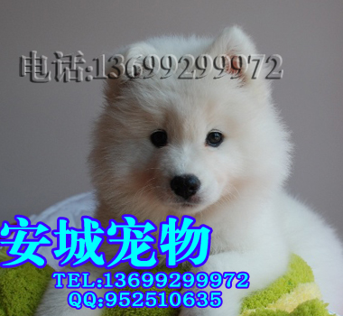 2011032223041080.jpg