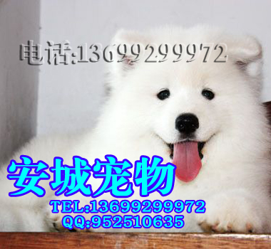 2011032223064753.jpg