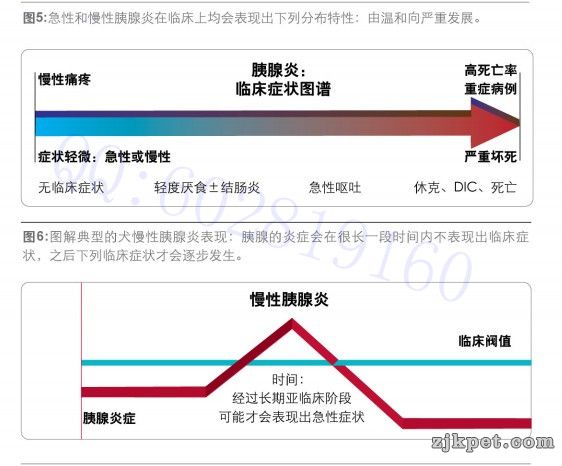 胰腺炎临床症状图谱1.jpg