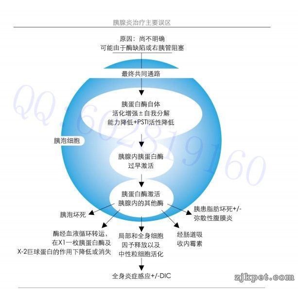 胰腺炎临床症状图谱3.jpg