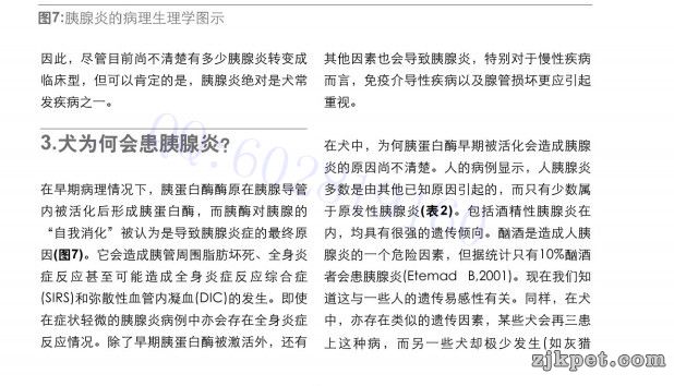 胰腺炎临床症状图谱4.jpg