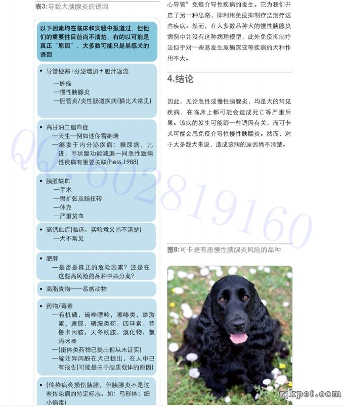 胰腺炎临床症状图谱5.jpg