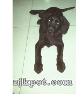 QQ截图20130504184536.png
