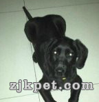 QQ截图20130504184634.png