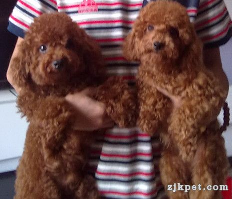 20110801274_副本.jpg