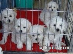 QQ截图20130401021130.jpg