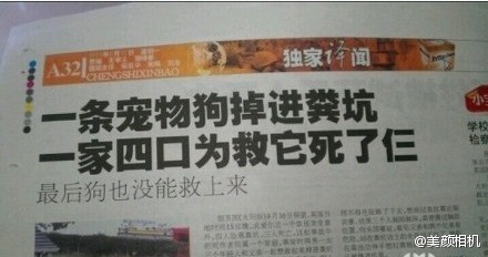 宠物新闻