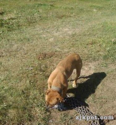 比特2.jpg
