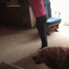 2000 (1).gif