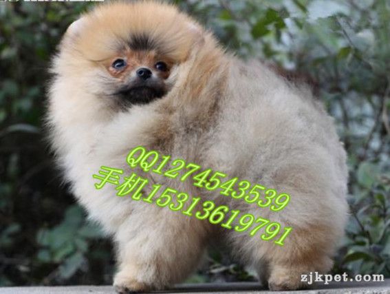2_124213_7283fa1f8fec031_副本_副本.jpg